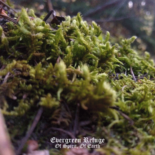 Evergreen Refuge : Of Spirit, of Earth